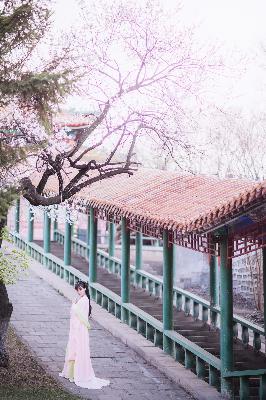 无颜之月动漫第一季全集